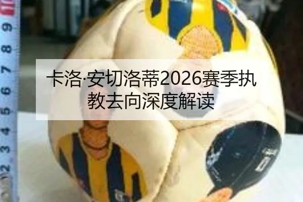 卡洛·安切洛蒂2026赛季执教去向深度解读 | ayx.com